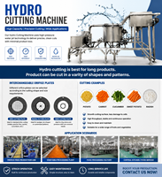 Industriële Hydro Cutter aardappel friet snijmachine 3-10T/H voor het snijden van groente- en fruitreepjes
