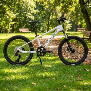Vélo pour enfants de <span class=keywords><strong>20</strong></span> pouces, directement de l'usine, <span class=keywords><strong>Twitter</strong></span> KID20, vélo pour enfants, vélo de montagne avec cadre en fibre de carbone - Product Image 3