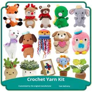 Kit de Crochet DIY pour Plantes en <span class=keywords><strong>Pot</strong></span> et Animaux en Laine Tressée, Ornement Fait Main en Pelote de Fil – Vente Chaude - Product Image 2