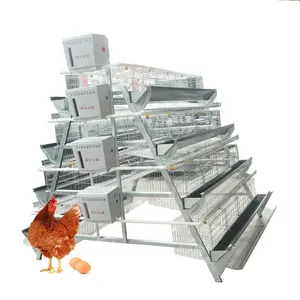 Jaula de batería para gallinas ponedoras, mejor calidad, buen precio