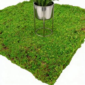 Musgo Preservado Duradero <span class=keywords><strong>en</strong></span> Oferta, Planta de Musgo Artificial, Musgo Natural Real para Decoración del Hogar y la Sala de Estar - Product Image 2