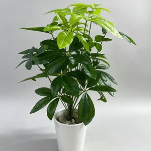 Nuevos Árboles Decorativos Artificiales de PVC Ecológicos Schefflera <span class=keywords><strong>Arboricola</strong></span> de 9 Cabezas para Decoración de Interiores - Product Image 5