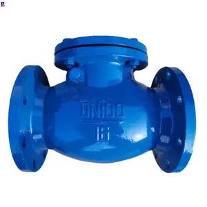 BS Standard DN150 GGG50 Body Good Quality Price List Swing Check Valve