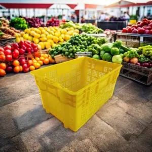 Kotak penyimpan pergantian plastik sayuran buah dan sayuran