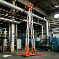 Monte-charge vertical certifié CE pour intérieur et extérieur, avec tension personnalisée, prix usine