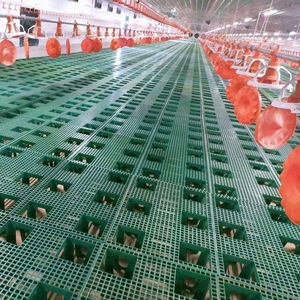 Bajo Costo de aves de corral de engorde <span class=keywords><strong>casa</strong></span> pollo con equipo de alimentación/pollo beber/controlador climático para aves de corral - Product Image 6