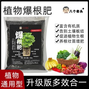 1000g - Product Image 5
