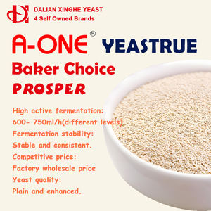 Usine de production OEM personnalisée de pâte à pain sèche instantanée à faible teneur en sucre et à haute teneur en sucre super tolérant actif usine de production de levure en poudre - Product Image 3