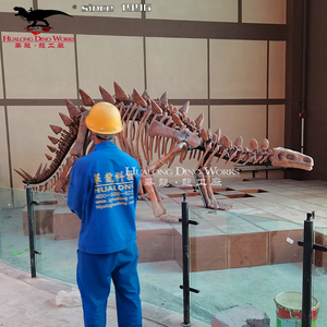 Parque Jurásico <span class=keywords><strong>de</strong></span> Dinosaurios, Modelo Fósil <span class=keywords><strong>de</strong></span> <span class=keywords><strong>Dinosaurio</strong></span> <span class=keywords><strong>de</strong></span> Alta Simulación, <span class=keywords><strong>Esqueleto</strong></span> <span class=keywords><strong>de</strong></span> <span class=keywords><strong>Dinosaurio</strong></span> <span class=keywords><strong>Real</strong></span> Grande - Product Image 4