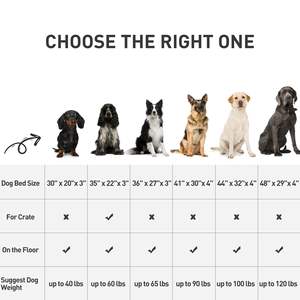 Alta calidad, tamaño personalizado, espuma suave, moda sólida, antideslizante, impermeable, lavable, gran cama ortopédica para perros - Product Image 6