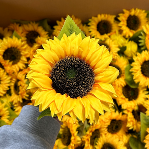 Flor Artificial <span class=keywords><strong>de</strong></span> Girasol Amarillo <span class=keywords><strong>de</strong></span> Tallo Único <span class=keywords><strong>al</strong></span> <span class=keywords><strong>por</strong></span> <span class=keywords><strong>Mayor</strong></span>, <span class=keywords><strong>de</strong></span> Plástico y Seda, para Centros <span class=keywords><strong>de</strong></span> Mesa <span class=keywords><strong>de</strong></span> Boda, Atrezzo <span class=keywords><strong>de</strong></span> Fotografía para Hoteles, Decoración del Hogar - Product Image 2