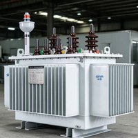 Transformateur à huile SW (B) 13-M 50-630 kVA, résistant aux surcharges à haute température, pour les fortes fluctuations de charge et les pics de surtension des vacances, personnalisable