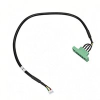 Harness Kabel 4-Konduktor Kustom Blok Terminal Hijau Konektor Putih untuk Kontrol Industri Otomatisasi Sepeda Motor CE ROHS