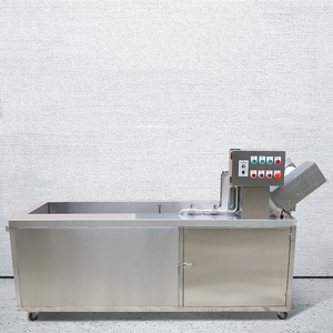 Large Scale <b>Fruit</b> and <b>Vegetable</b> Spray Cleaning <b>Machine</b> with Engine 304 Stainless Steel - Product Image 6