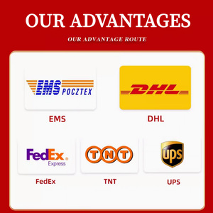 UPS DHL FedEx Express Морской воздух DDP агент доставки Китай в США Европа Канада логистические услуги от двери до двери своевременная доставка - Product Image 2