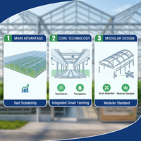 8m Span Multi-span foliekas met oprolbare ventilatie voor tomatenteelt, verzinkte constructie