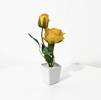 Rose artificielle à deux pétales en pot, faite à la main, réaliste, fausse fleur bonsaï pour cadeau de Saint-Valentin, décoration de dîner aux chandelles