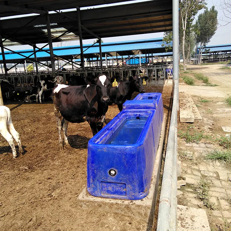 Tanque de agua con 4 agujeros para el ganado de vaca en el Rancho