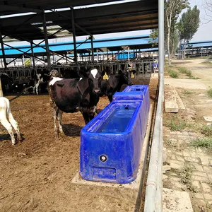 牧場の牛の家畜用の4つの穴のある水タンク