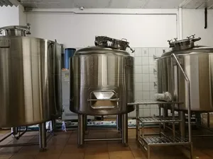 Tonsen 500 Liter Brouwerij Thermomtre Brassage Biere Micro Cerveceria