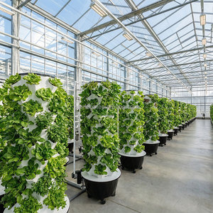 <span class=keywords><strong>Torre</strong></span> de Cultivo Multifuncional para Piña y Fresa con Bomba, Sistema de Cultivo Acuapónico e Hidropónico para Agricultura Comercial - Product Image 5