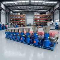 Offre Spéciale – Machine à Granulés Diesel pour Aliments Animaux (Porcs, Lapins, Bovins, Poulets) – Capacité 100-150 kg/h – Prix Usine