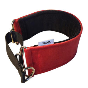 <span class=keywords><strong>Collar</strong></span> de perro Whippet con diseño de martingala ensanchado resistente personalizado <span class=keywords><strong>Collar</strong></span> de perro de 3 pulgadas de ancho de tela de terciopelo - Product Image 4