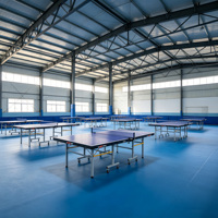 Bâtiment de salle de tennis de table en structure acier préfabriquée, centre sportif sur mesure, fabricant de charpentes en acier à grande portée