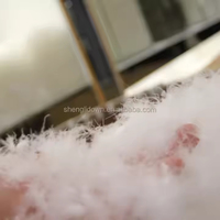 Vente en gros de plumes de duvet de canard blanc brut et lavable pour oreiller/couette comme matériau de remplissage