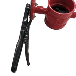 Manija de sujeción del fabricante PN16 de cuerpo pesado con bloqueo - Product Image 1