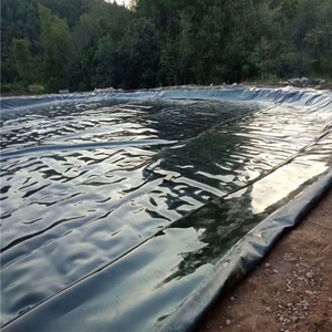 Bâche de bassin à poissons ronde en géomembrane ASTM résistante aux UV pour aquaculture, bâche de bassin à poissons en HDPE pour biofloc, géomembrane - Product Image 6