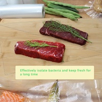Rouleau de sac en plastique sous vide de qualité alimentaire en nylon pré découpé de 25cm * 500cm * 90mic