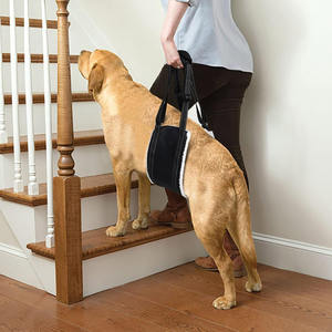 Sling de chien portable pour les jambes arrière, harnais de soutien de la hanche pour aider à soulever l'arrière pour la rééducation du ligament croisé <span class=keywords><strong>K9</strong></span> Canine Aid Old - Product Image 5