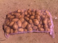 Mexico Markt Polypropyleen 25Kg Roze Rood Verpakking Zak Buisvormige Netje Voor Sinaasappelen