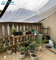 Bâche en PVC transparente pour extérieur, résistante, imperméable, pour plantes succulentes, protection contre la pluie, protection UV, taille moyenne