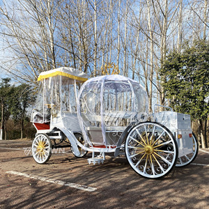 Carroza Eléctrica de Lujo Personalizada de Alta Calidad para Bodas y Turismo, Estilo Cenicienta, Precio de Fábrica, 2 Años de Garantía - Product Image 1