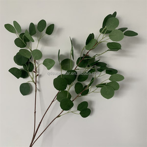B-835 Rami di Eucalipto Artificiali di Alta Qualità, <span class=keywords><strong>Foglie</strong></span> Verdi Decorative per Pareti Floreali e Composizioni Nuziali - Product Image 5