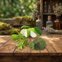 Extrait de feuilles de goyave de qualité supérieure, ingrédient végétal à base de plantes, idéal pour les arômes, les assaisonnements, les mélanges de thé et les aliments fonctionnels