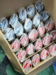 <span class=keywords><strong>Control</strong></span> Inalámbrico P4 con Funciones Completas para PS4, con Barra de Luz, Vibración de Doble Motor, Giroscopio, Gamepad, Controles Mantte - Product Image 2