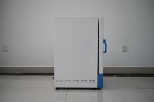 Horno de secado de aire forzado vertical con certificación CE, acero inoxidable 201, horno de circulación de aire caliente de 125 °C, 45/72/210/<span class=keywords><strong>L</strong></span> - Product Image 5