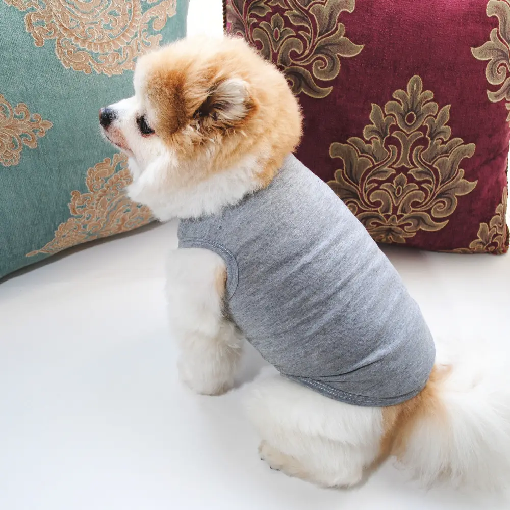 Camicie per cani vestiti per animali domestici in tinta unita gilet t-shirt morbida e sottile camicie bianche vestiti adatti per cagnolini e gatti
