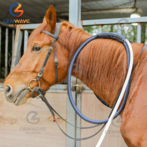 24700 Pemf Gauss Pemf Therapy dispositivo per terapia con cavalli facile da usare per apparecchi per raschiare il dolore muscolare - Product Image 6