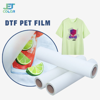 Film de transfert DTF double face, feuille PET format A3/A4, papier de transfert thermique haute température pour l'impression sur vêtements et t-shirts