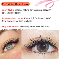 Extensions de cils synthétiques Angel Lashes Wet Set 5D préfabriquées, effet anime, pointues et vaporeuses, 0.07mm C CC D DD, marque privée, sans cruauté animale