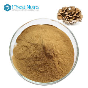 Extrait de champignon Maitake d'approvisionnement d'usine Grifola Frondosa <span class=keywords><strong>Mycelia</strong></span> Polysaccharide 10%-50% Poudre d'extrait de champignon Maitake - Product Image 3