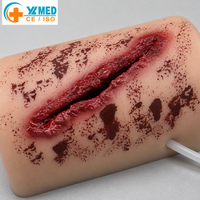 Kit de formation Stop the Bleed : Simulateur d'application de pansements et de garrot, Scène de simulation de saignements, Certifié CE/ISO
