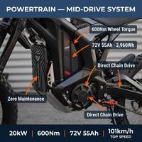 Moto électrique Arctic Leopard Clouded Leopard XE Pro L1E 72V 55Ah 600Nm NFC TFT App Off-Road pour adultes Fournisseur 2026