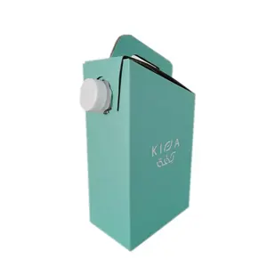 China fornecedor fabricação ecológica barato descartável caixa de café dispensador 1l café para ir saco de bebidas na caixa