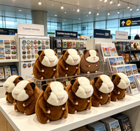 Peluche personnalisée OEM ODM pour cochon d'Inde, jouet en peluche Kawaii pour collection, cadeaux promotionnels, design personnalisé