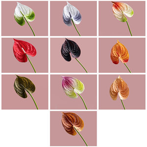 CallaFloral Anthurium Artificiel à Tige Unique Rouge Décoration Intérieure Bouquet de Mariage Décoration Maison - Product Image 3